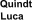 Quindt Luca